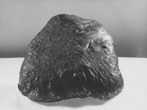 eisen-nickel-meteorit
