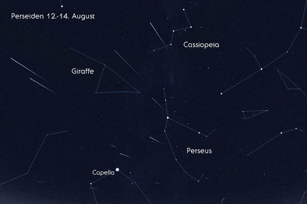 13. August Perseus